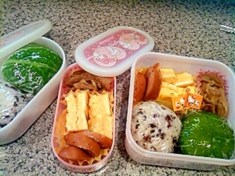 高菜・おにぎり弁当